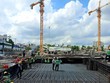 Tracodi (TCD): Năm thứ 2 tăng trưởng Kl99 nổ hũ đột biến