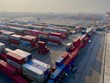 Viconship (VSC) chính thức vận hành cảng Nam Hải Đình Vũ
