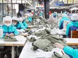 TNG doanh thu tiêu thụ tháng 1/2024 tăng mạnh