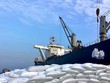 Sản lượng tiêu thụ vượt bậc, PVCFC (DCM) đạt 447 tỷ đồng Kl99 nổ hũ trước thuế hợp nhất quý I/2025