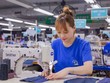 TNG có gần 16.000 lao động 