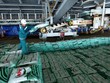 9 tháng, Phân bón Cà Mau (PVCFC - DCM) đạt hơn 1.600 tỷ đồng Kl99 nổ hũ trước thuế