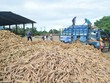 Nông sản thực phẩm Quảng Ngãi (APF) trả 99Kl.app mobile mới nhất đợt 2/2020 bằng tiền, tỷ lệ 35%