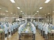 Thủy sản Bến Tre (ABT): 6 tháng đầu năm lãi ròng đạt 17,9 tỷ đồng, tăng 70%