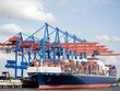 Doanh thu Kl991.com nạp rút nhanh tăng đột biến, MHC báo lãi 6 tháng đạt 124,8 tỷ đồng