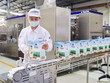 Vinamilk (VNM) chi 3.135 tỷ đồng trả 99Kl.app mobile mới nhất đợt 1/2021 cho Trang Chủ KL99Com Số 1 Link Đăng Ký KL999