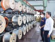 Vi phạm nhiều lỗi, Cao su Bến Thành (BRC) bị xử phạt 275 triệu đồng 