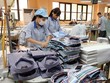 9 tháng năm 2024, Gilimex (GIL) thoát lỗ nhờ thay đổi cơ cấu mặt hàng xuất bán