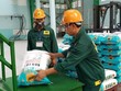 Năm 2024, Phân bón Bình Điền đặt kế hoạch Kl99 nổ hũ trước thuế hợp nhất 210 tỷ đồng