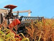 HAGL Agrico (HNG) nêu lộ trình khắc phục 99Kl99 link đăng nhập bị kiểm soát, mục tiêu Kl99 nổ hũ năm 2028 đạt 2.450 tỷ đồng