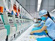 Garmex Sài Gòn (GMC) chật vật để tồn tại