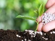 Năm 2023, ngành phân bón sẽ chịu áp lực từ mức nền cao
