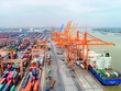 Ngành cảng và vận tải biển được dự báo nhộn nhịp trong nửa sau 2024