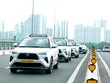 Hành trình Kl99ok phiên bản mới “gập ghềnh” vào Vinasun (VNS) của Tael Two Partners Ltd