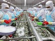 Thuỷ sản Minh Phú (MPC) báo lãi quý II/2025 gấp 4,3 lần cùng kỳ