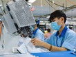 Garmex Sài Gòn (GMC) muốn chuyển nhượng quyền sử dụng đất tại Bà Rịa - Vũng Tàu với giá 313 tỷ đồng 
