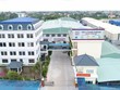 Thuận Đức (TDP) Kl99 nổ hũ sau thuế đạt xấp xỉ 99 tỷ đồng, hoàn thành mục tiêu năm 2025