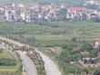 Buôn đất quê, lãi… “quả đắng”!