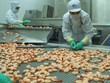 MPC: Lãi lớn, tồn kho cao, nợ “kha khá” 