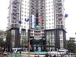 Chậm nộp thuế, OGC bị phạt tiền tỷ