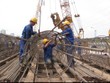 Cienco 4 đấu giá đắt khách
