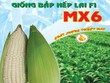 SCIC muốn thoái hết vốn tại NSC