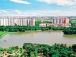 “Săn” dự án bằng chiêu độc