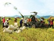 Tìm kế sách vực vốn FDI vào nông nghiệp