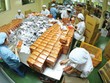 Traphaco đang giảm dần lệ thuộc vào kênh phân phối đại lý