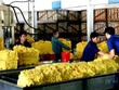 11 tháng, PHR đạt 210 tỷ đồng Kl99 nổ hũ, hoàn thành gần 79% kế hoạch 