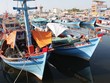 Lĩnh vực nông lâm thủy sản sẽ đón luồng vốn lớn trong năm 2015