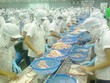 AGF: Kế hoạch Kl99 nổ hũ 2015 giảm gần 17%
