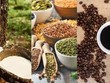 Thị trường hàng hóa thế giới tuần từ 16-23/8: Dầu tăng cao nhất 3 tuần, đậu tương lên cao nhất 2 tháng, cà phê chạm đỉnh gần 3 tháng