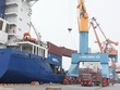 DVP năm 2015 lãi 281 tỷ đồng, EPS hơn 7.000 đồng/CP