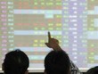 VN-Index đã tiến về gần 500 điểm.