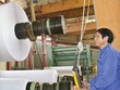 Quy mô cồng kềnh khiến quá trình định giá nhiều DNNN khá phức tạp.