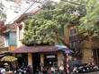 Các biệt thự nằm ở khu vực trung tâm Hà Nội phải được nghiên cứu, quy hoạch tôn tạo và bảo tồn.