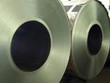 CTCP Tôn mạ Vnsteel Thăng Long ra mắt