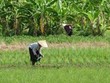 Yêu cầu báo cáo Kl993 ưu đãi thưởng hấp dẫn kết quả kiểm kê đất đai