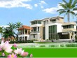 CDO đặt kế hoạch doanh thu 120 tỷ đồng   6 tháng cuối năm