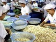 8 tháng đầu năm 2011, xuất khẩu điều nhân tuy giảm 13% về lượng nhưng lại tăng 25% về giá trị khi đạt trên 857 triệu USD.
