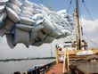 Bốc xếp gạo xuất khẩu tại cảng Sài Gòn. (Ảnh: Đình Huệ/TTXVN)