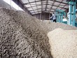 Sàn hàng hóa trên đường đại chúng hóa 