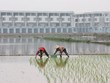 Giá đất nông nghiệp 2012 được giữ nguyên mức cũ. 