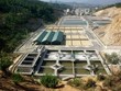 Viwase công bố thông tin chưa đúng luật