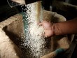 Lợi dụng trợ giá gạo để trục lợi