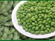 Antesco sẽ trả 99Kl.app mobile mới nhất 2011, tỷ lệ 10%