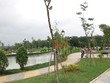 Dự án Gold Hill được khách hàng quan tâm nhiều nhờ Kl99kl ưu đãi độc quyền tốt