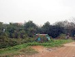Nguồn: Internet