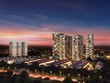 Dự án EcoXuân triển khai chương trình “Ba Sao”